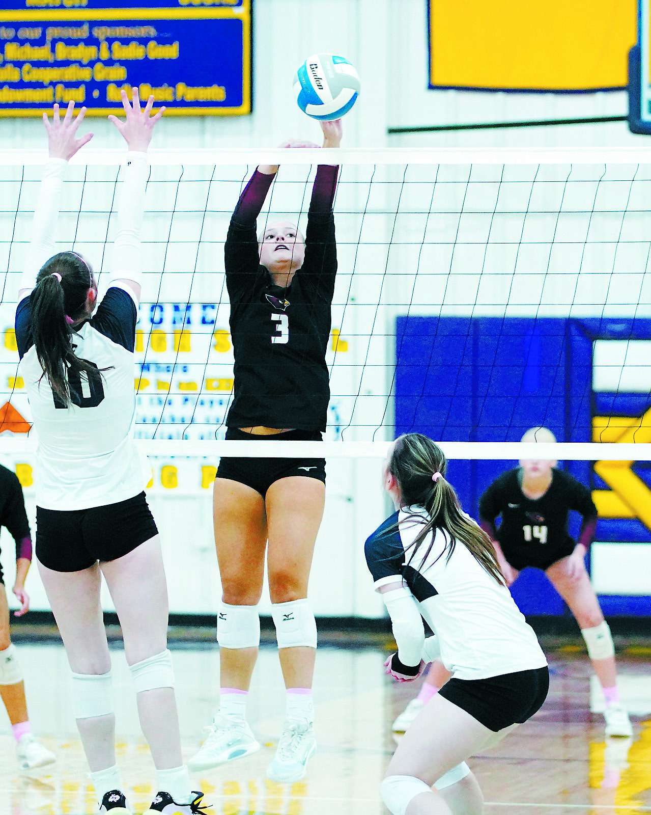 FM Bank's Co-Player of the Game Emma Hall had seven aces in the Cards' win over the North Prairie Cougars. Photo by Larry Stokke.