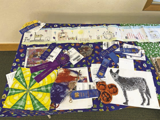 Cavalier County 4-H showcases youth projects at 4-H Achievement Day