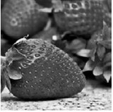 Backyard berries have incredible flavor. (Pixabay photo)