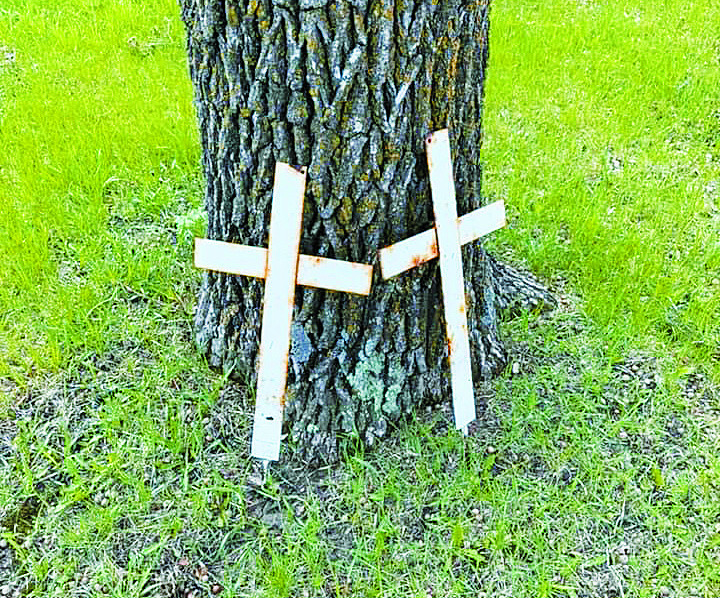 Oak Lawn Cemetery Memorial Day