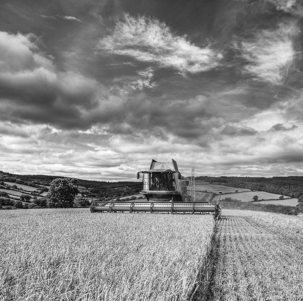 Corn and soybean associations study: Farmers would suffer from trade wars