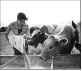 What’s coming for farming in 2026 - and why farm families will feel it first