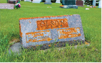 A gravestone covered in lichen and moss before being cleaned.
