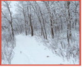 The beauty of the trails in the Pembina Gorge. Photo by Brett Wawers.