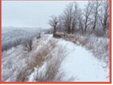 Scenic image from a snowshoeing adventure. Photo by Brett Wawers.