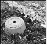 Ollas are a great way to keep elevated beds watered through the summer. (NDSU photo)