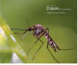 Mosquito bite prevention remains best defense against West Nile virus
