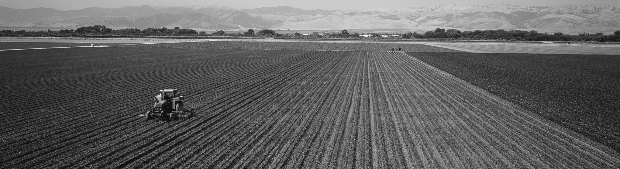 NDSU crop budget projections show minimal returns for 2025