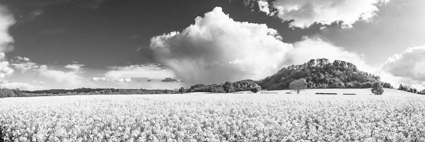 Photo courtesy of the U.S. Department of Agriculture Natural Resources Conservation Service (NRCS)