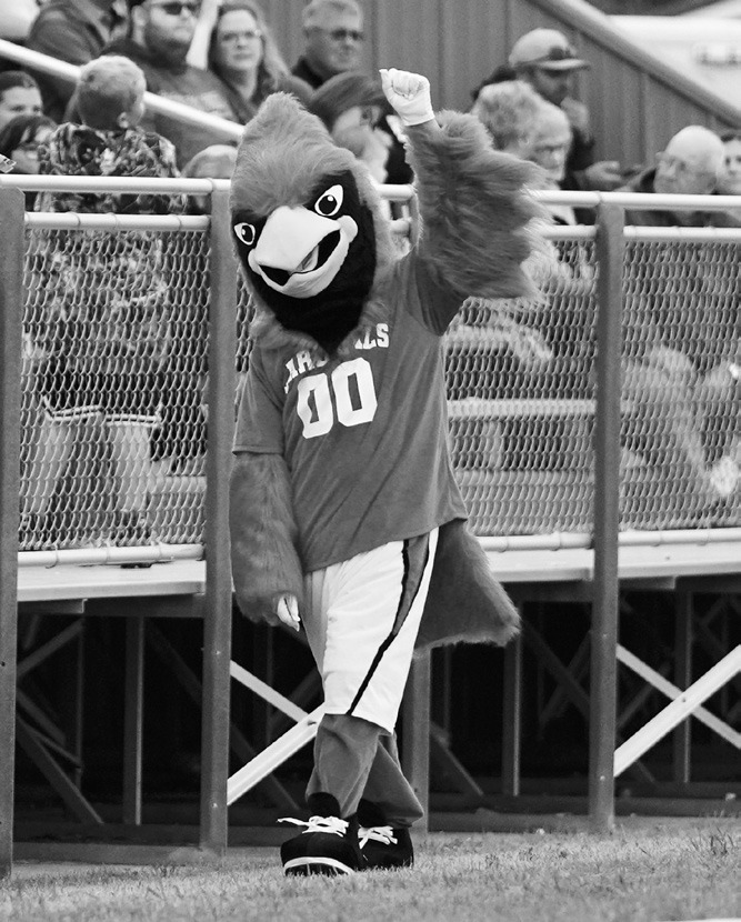 Cardinal mascot Jonathan Mack pumps up the crowd from the sidelines during a home football game. Photo by Larry Stokke