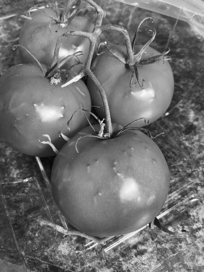 Strange things to start the garden