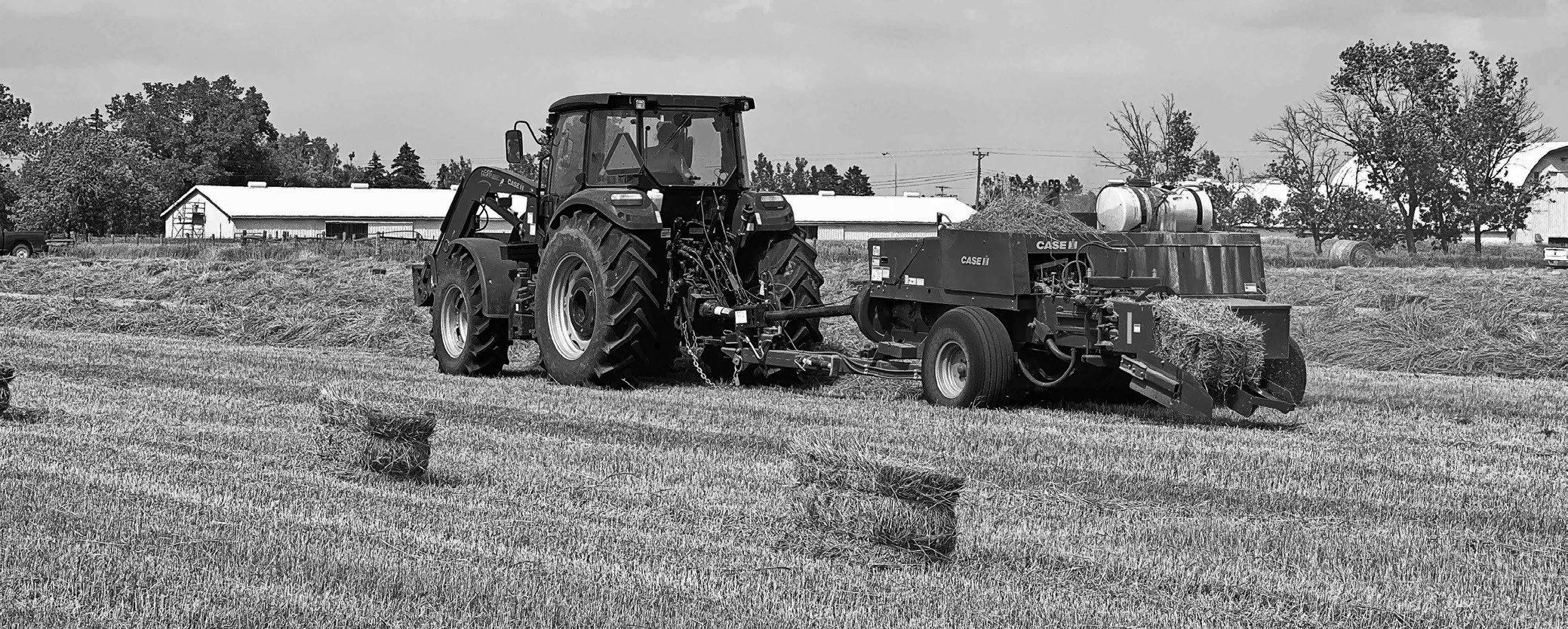 If moisture content is not down to the proper level prior to baling, heat damage can occur. (NDSU PHOTO)