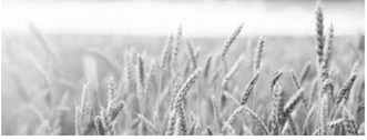 USDA announces conservation funding opportunity for North Dakota producers