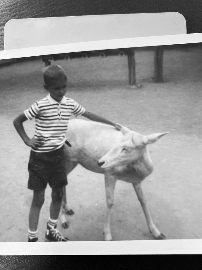Give that kid a sandwich!