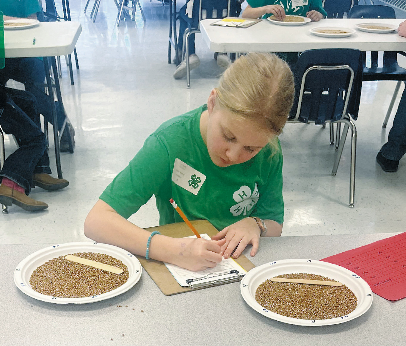 Stella Norrell grading wheat.