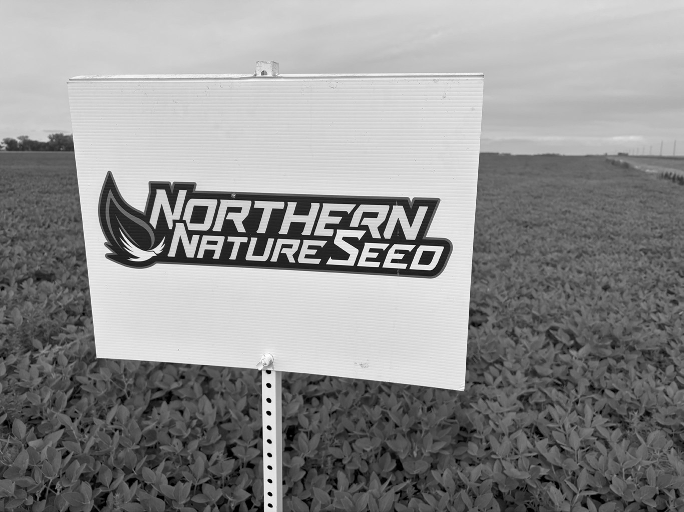 Scott Johnson, who has been in the agricultural industry since 1994 and founded Northern Nature Seed in 2010, described the award as a shared achievement rather than an individual one. Submitted photo.