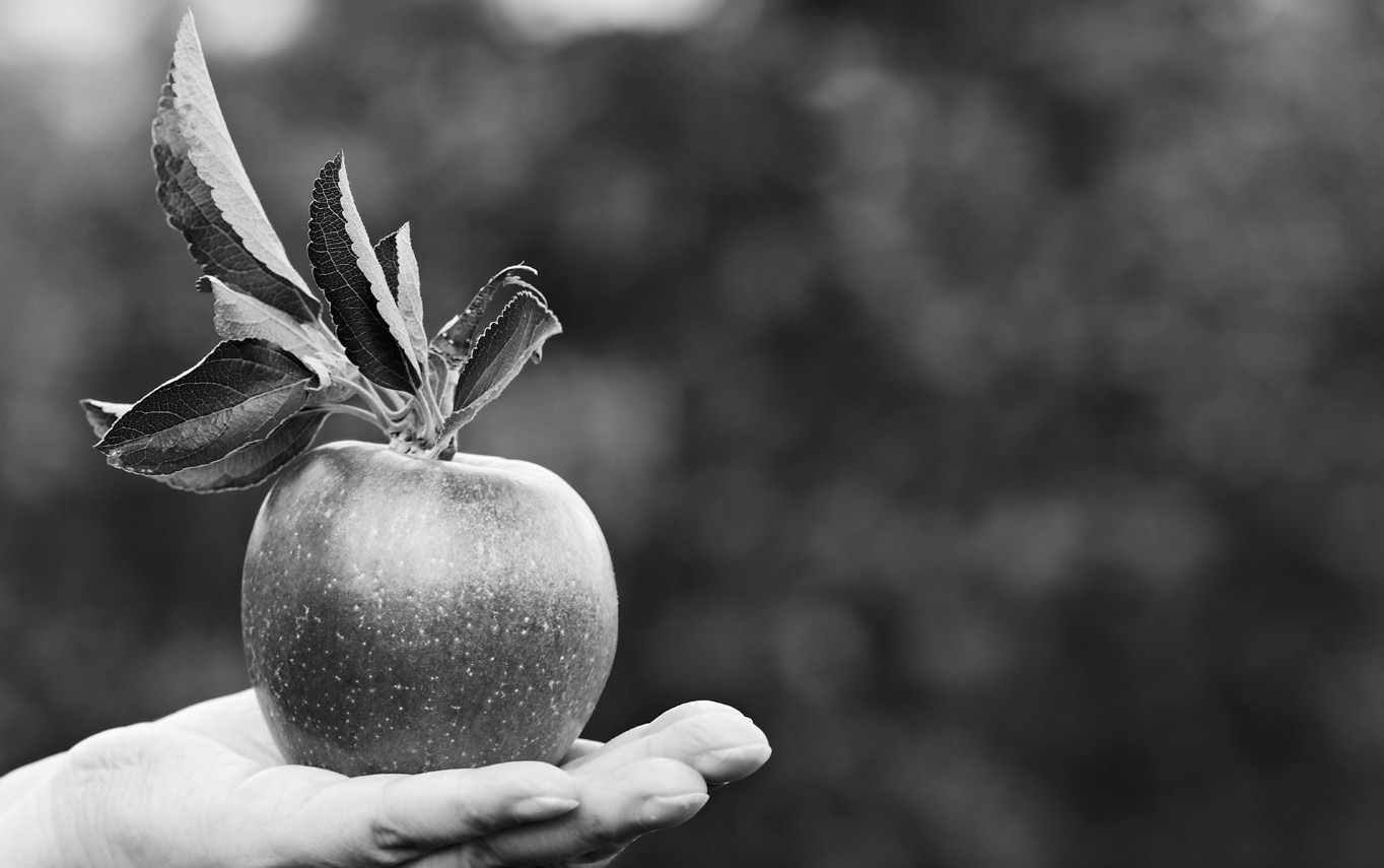 An apple has about 100 calories, and it contains potassium, vitamin C and other nutrients. (Pixabay photo)