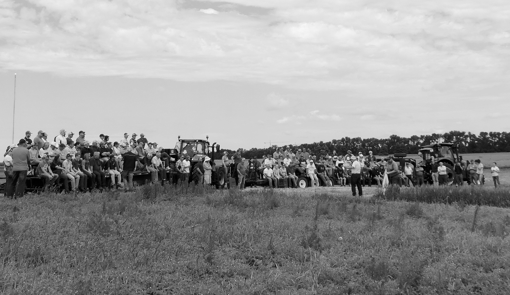 Farmers, crop advisers and others attend NDSU's North Central Research Extension Center Field Day. (NDSU photo)