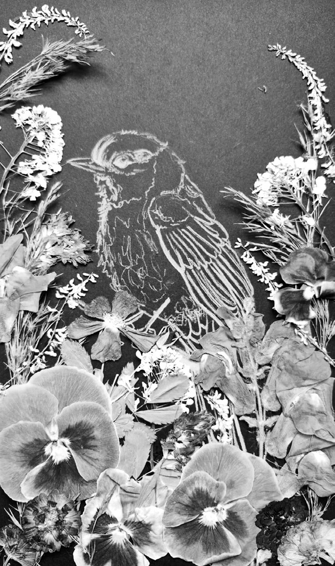 A piece of pressed flower art.
