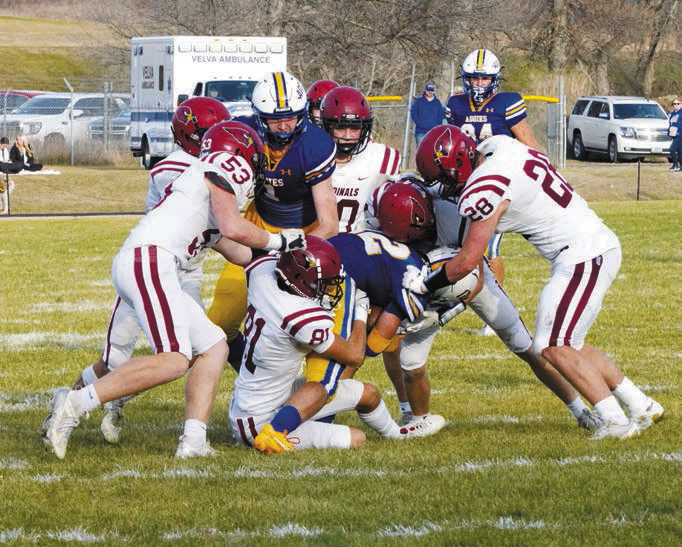 A flock of Cardinals surround a Velva Aggie and stop any gain in yards. Photo by Larry Stokke.