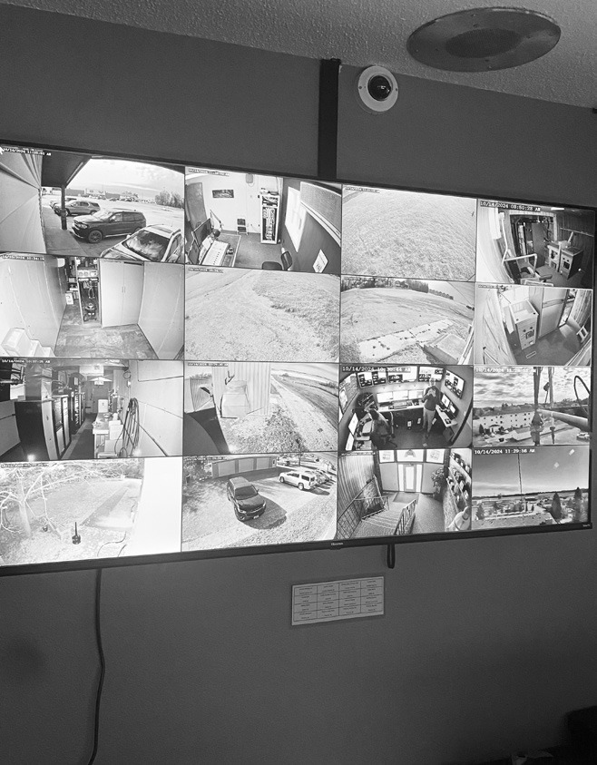 Cameras, cameras everywhere