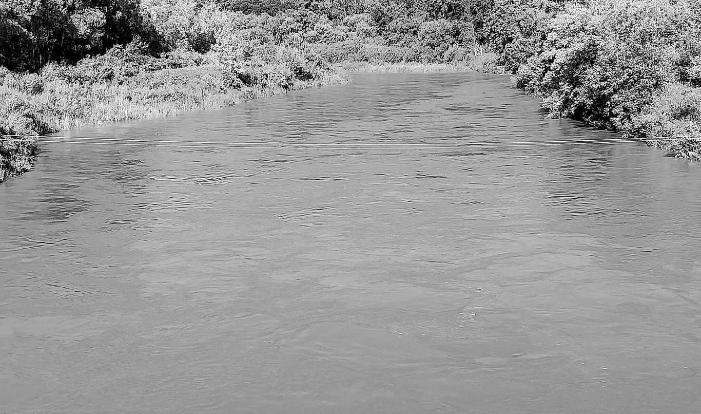 Recent rainfall across the Pembina River watershed caused the river at Walhalla to rise approximately 6 feet overnight, June 30. According to the U.S. Geological Survey gauge, the river climbed from about 2.65 feet on June 25 to nearly 9 feet on June 30. Walhalla has received 6.70 inches of precipitation since June 1, according to local reports. Photo courtesy of Steve Lorenz