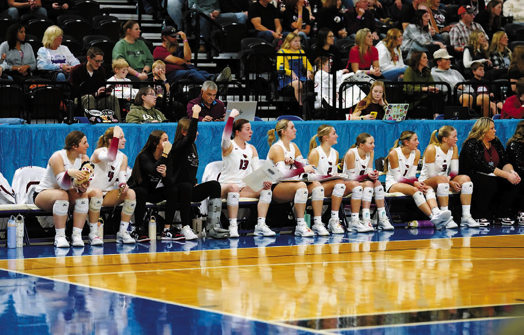 The bench cheering on their teammates at the State Tournament. From (L-R) Lexi Gendron, Chloe Koons, Avery Lorenz, Aubrey Badding, Erika Bakke, Liv Prouty, Ella Goodman, AryAnna Schaefer, Meggy Hetletved, and Emma Hall. Photo by Larry Stokke.