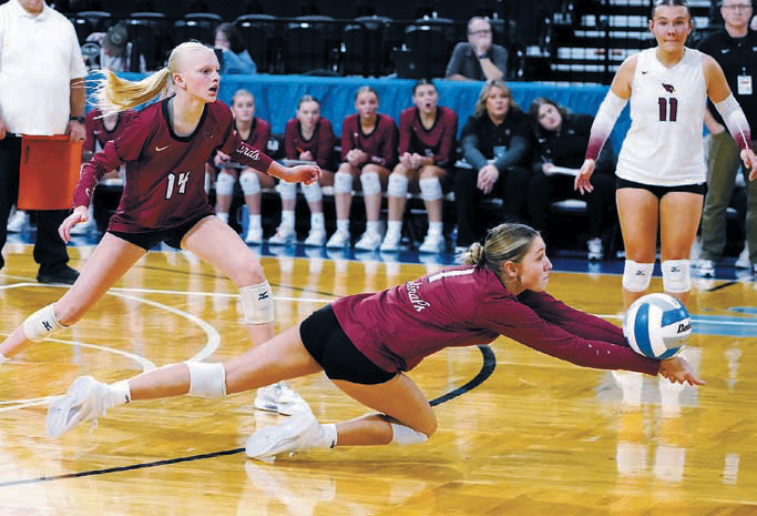 Meggy Hetletved had several great plays in the backrow at the State Tournament. Photo by Larry Stokke.