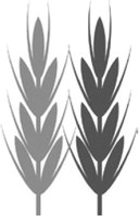 Alt Text for Image