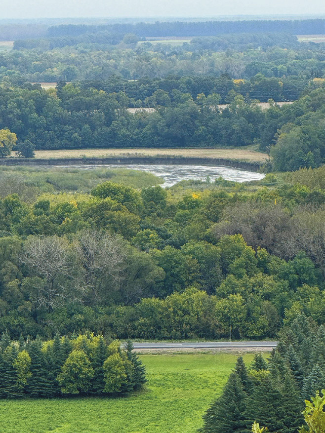Alt Text for Image