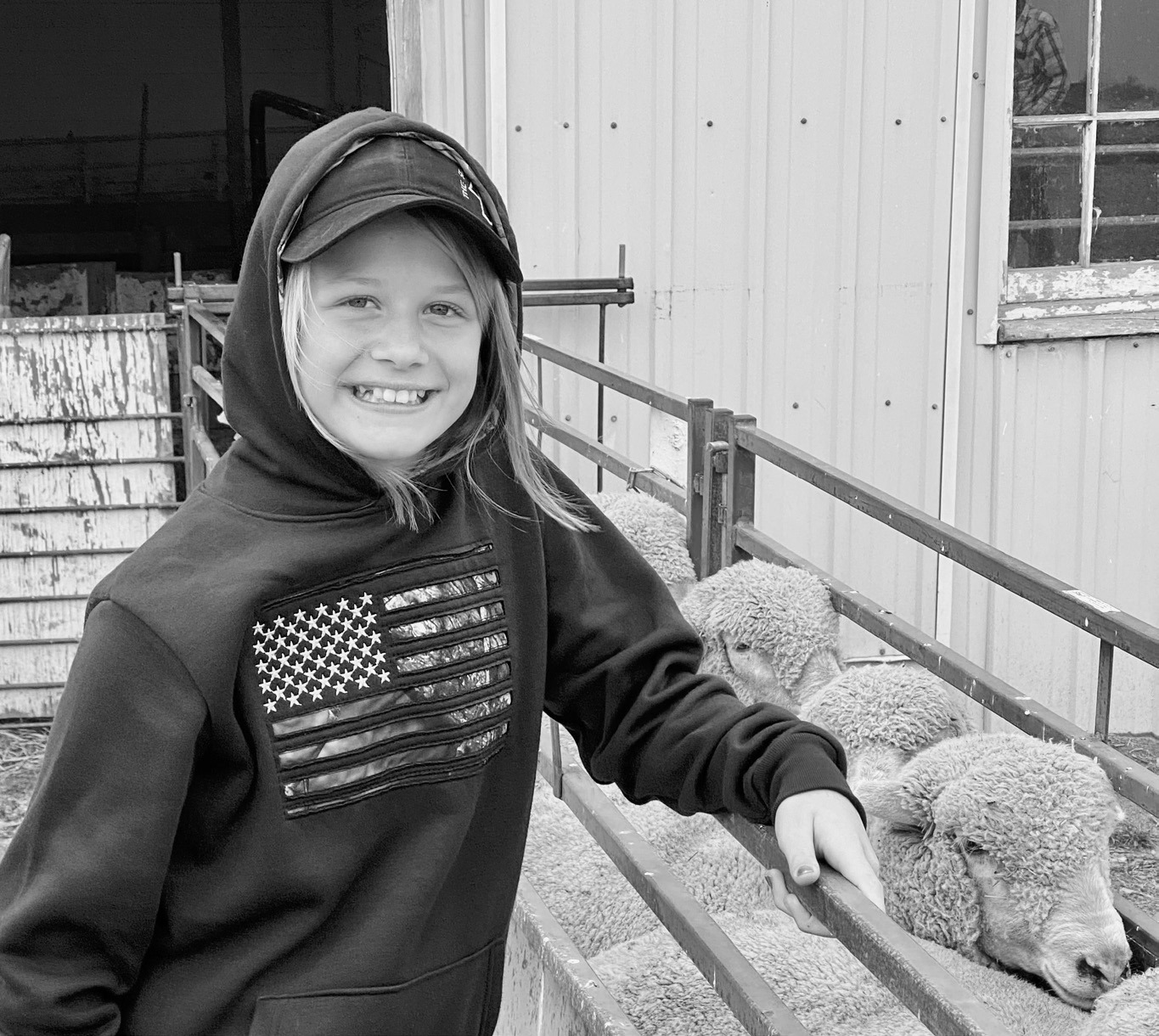 Sheep production offers youth an opportunity to grow a business, learn record keeping and manage finances. (NDSU photo)
