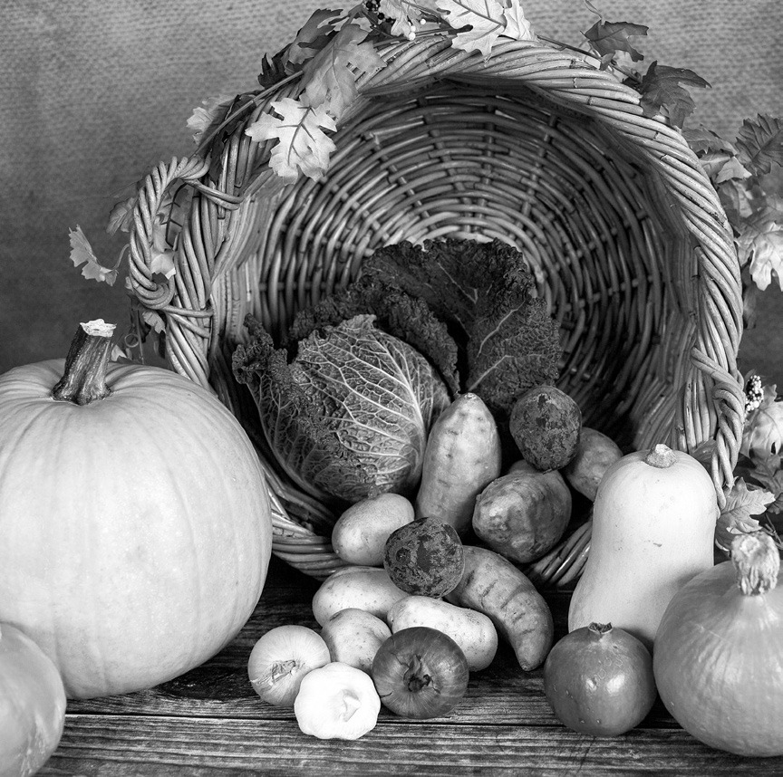 It can take 12 to 15 exposures to accept a food new to you. (Pixabay photo)