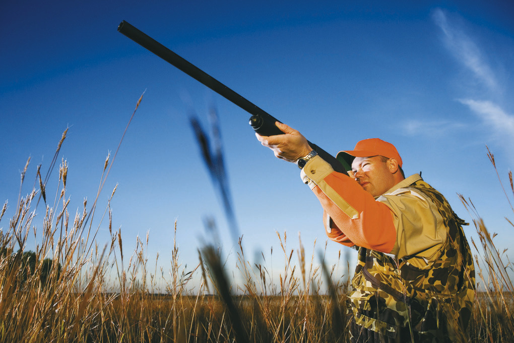Game and Fish announces fall meetings