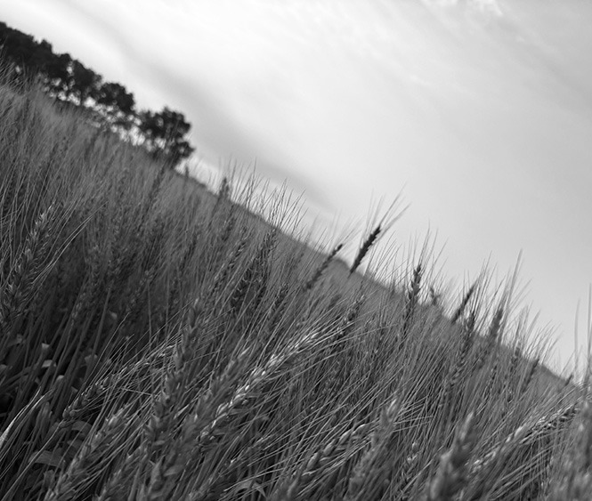 Photo by Sarah Overby