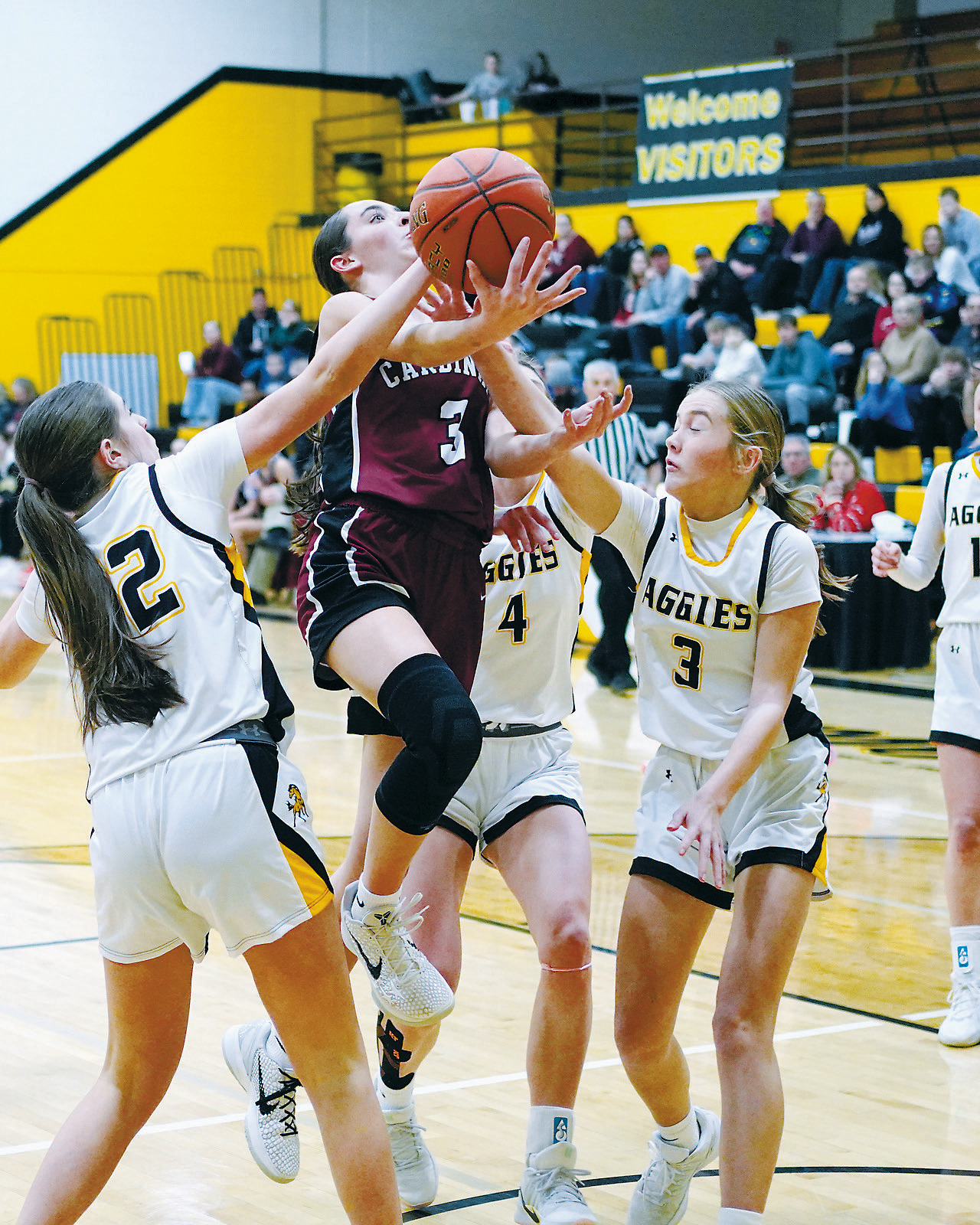 Avery Lorenz drives in and gets fouled, sending her to the line. Photo by Larry Stokke.