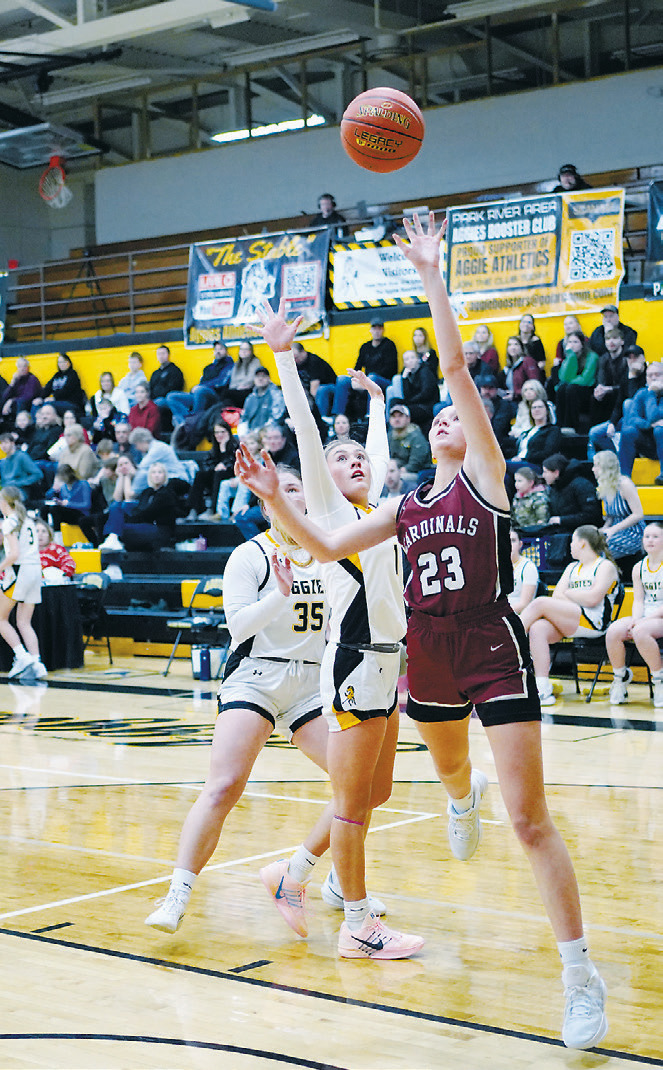 Hallie Overby lays in a left-handed layup in the Cards' win over the Park River Aggies. Photo by Larry Stokke.