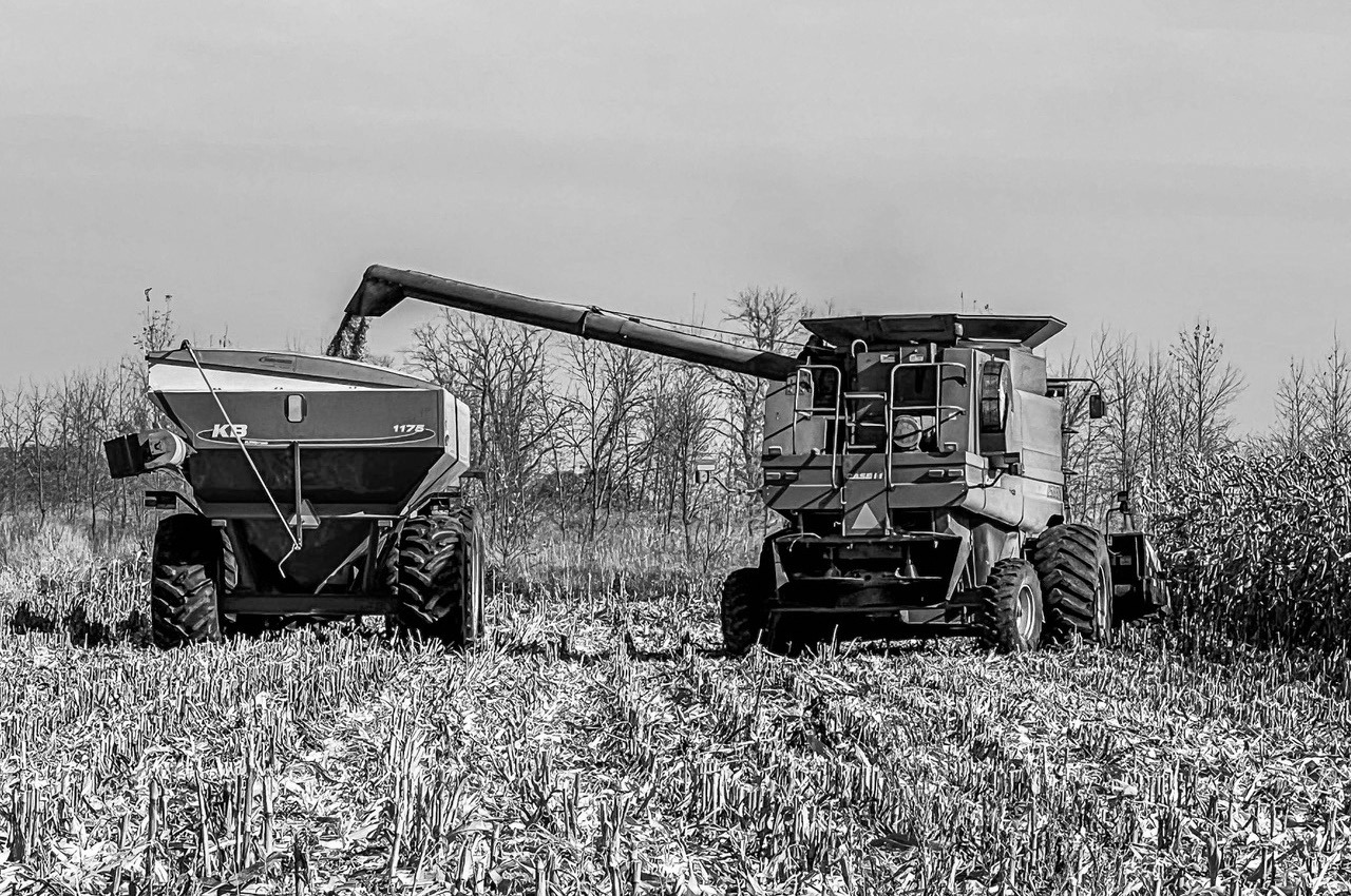 Corn harvest at a farm near Mapleton, N.D. during the autumn of 2024. Farmers await further news of how the trade war will impact them if tariffs against Canada and Mexico go into effect. Photo By Sabrina Halvorson, NDNC CEO.