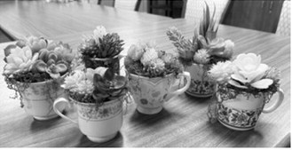 Succulent gardens. Submitted photo