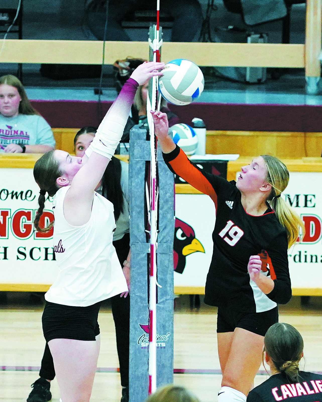 Meredith Romfo with a stuff block at the net in the Cardinals win over the Tornadoes. Photo by Larry Stokke.