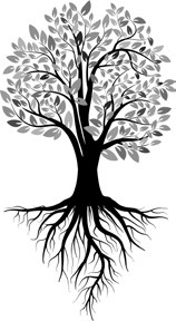Alt Text for Image