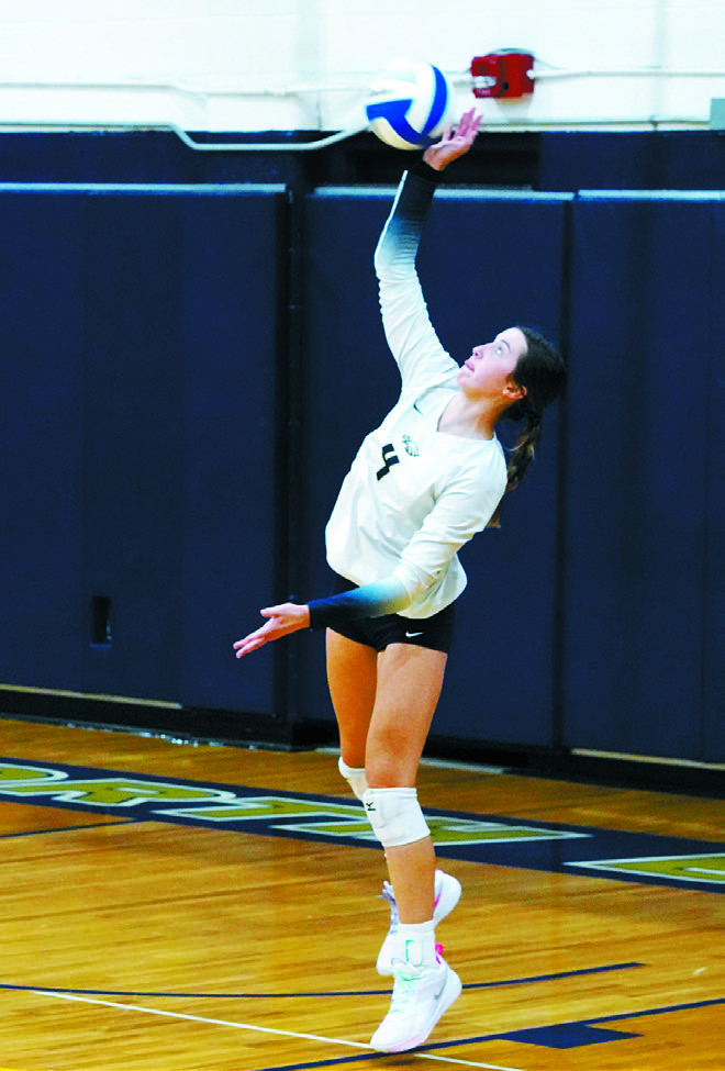 Jaelyn Johnson serves up an ace against the Tornadoes. Photo by Larry Stokke.