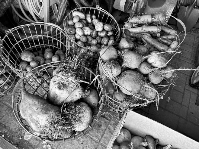 Garden harvest.