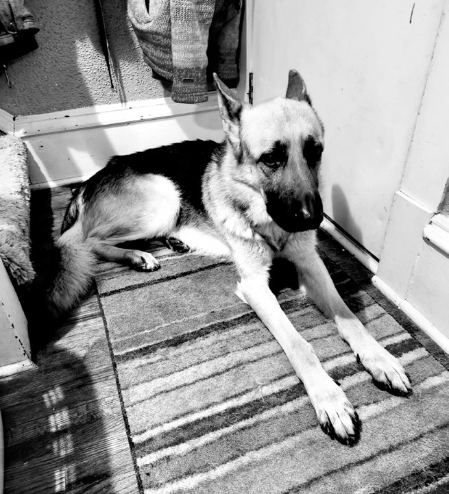 Max being a good boy.