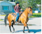 Janet Schill rides down Main Street on horseback during the Pre-Blast Bash parade. Photo by Larry Stokke
