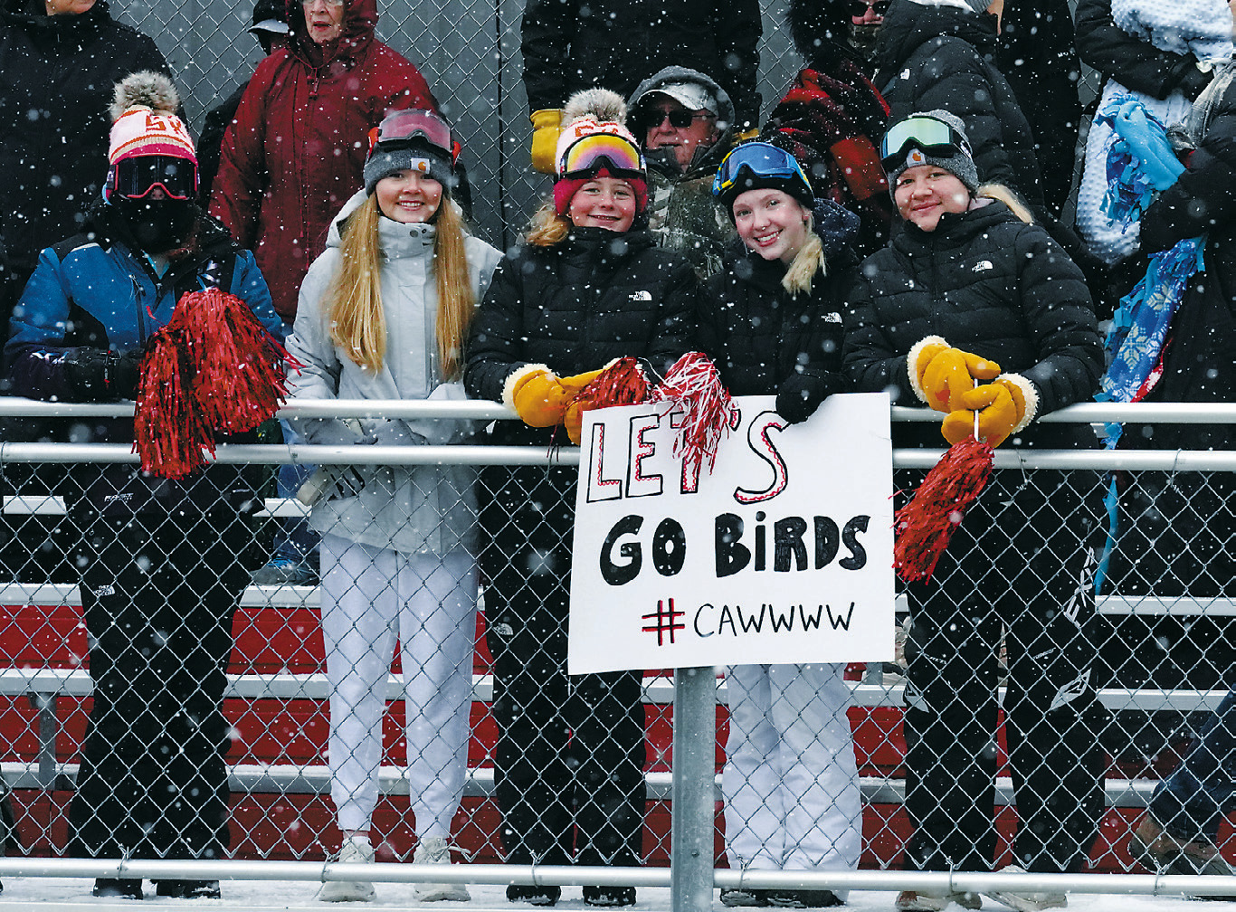 The Cardinals birdcage was outside showing their support despite the cold and snowy day. Photo by Larry Stokke.