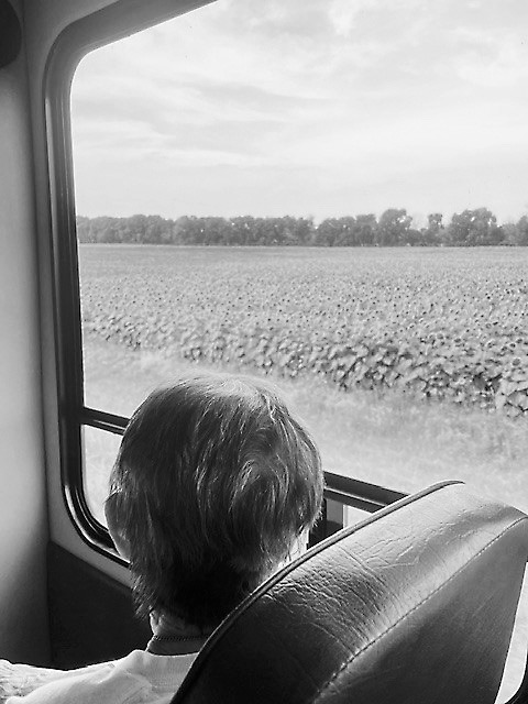 Rose taking in the views on the bus ride to Icelandic State Park.