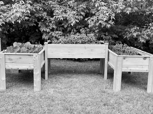 Backyard planters.