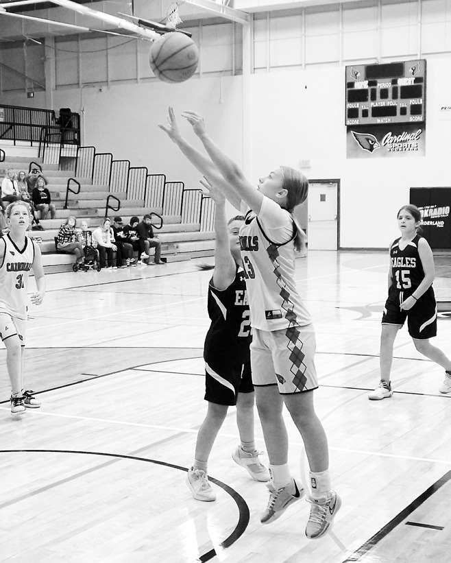 Maddyn Lykken drops in a basket from near the top of the key against the Eagles. Photo by Larry Stokke.
