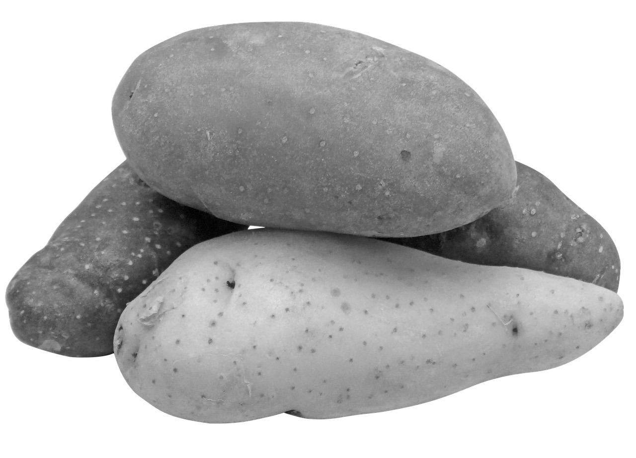 Potatoes provide many essential vitamins and minerals, especially vitamin C and potassium. (Pixabay photo)