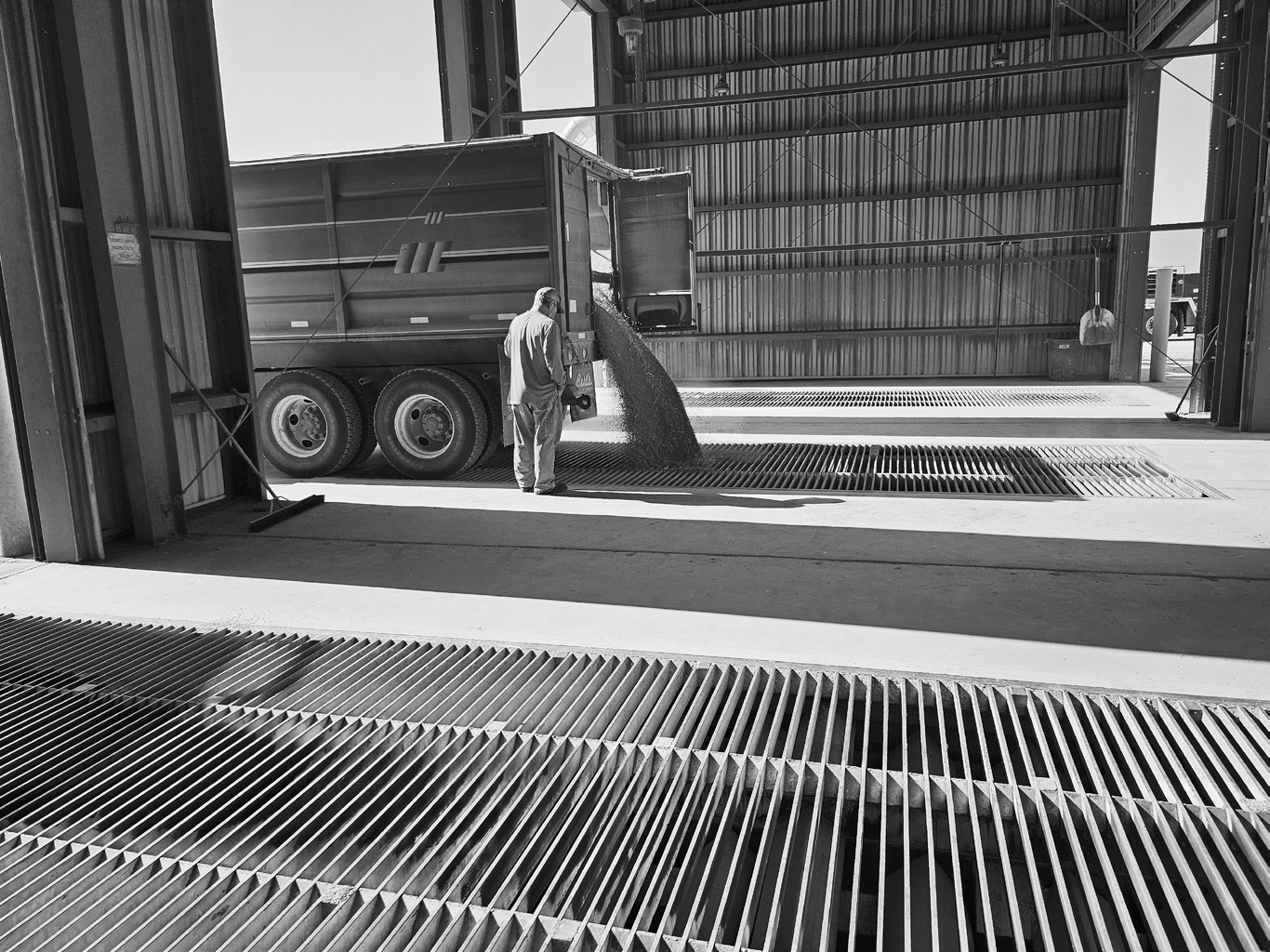 A driver unloads a truck load of spring wheat into one of the grain pits at the Nekoma facility. Each dump pit is rated to hold 20,000 bushels per hour, allowing trucks to get in and drop off their commodities in a very timely manner. Photo by Nick Vorlage.